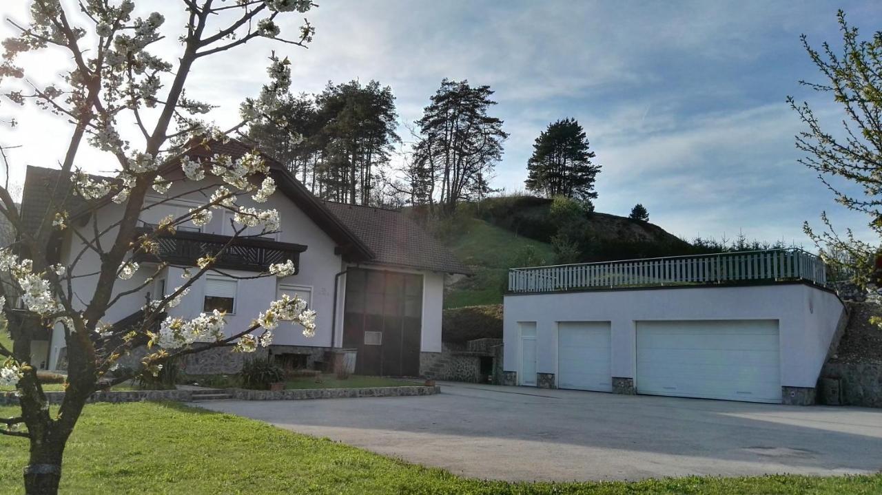Ferienwohnung Apartma Jutersek Libelice Exterior foto